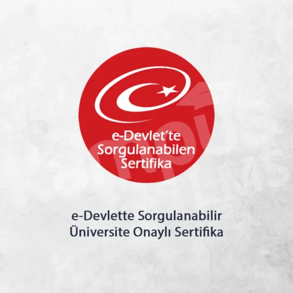 Aile Danışmanlığı Eğitimi ve Sertifikası